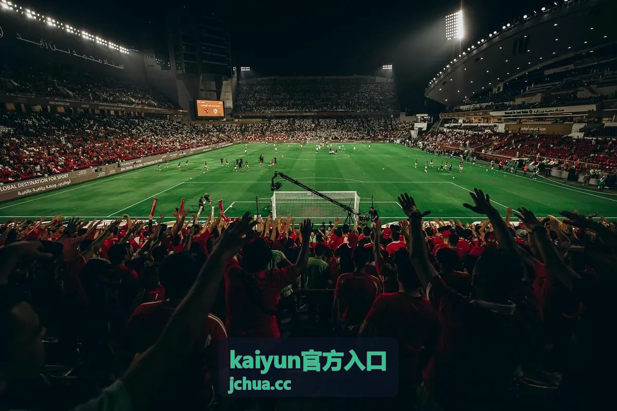 kaiyun官方入口 官方入口直连指引 线路核对步骤示意图