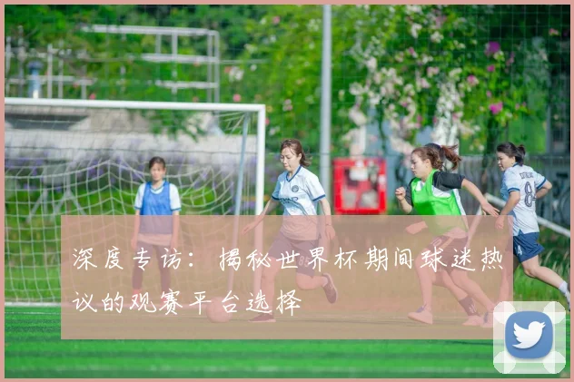 深度专访:揭秘世界杯期间球迷热议的观赛平台选择