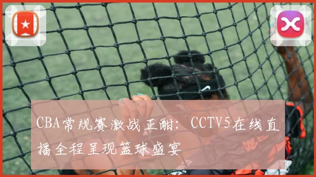 CBA常规赛激战正酣：CCTV5在线直播全程呈现篮球盛宴