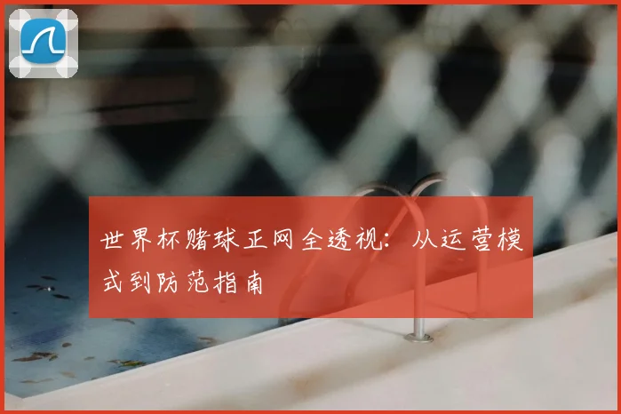 世界杯赌球正网全透视:从运营模式到防范指南