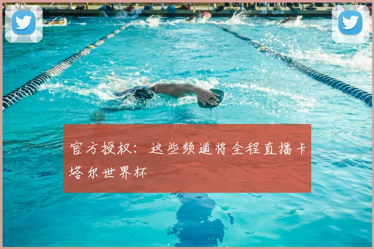 官方授权:这些频道将全程直播卡塔尔世界杯