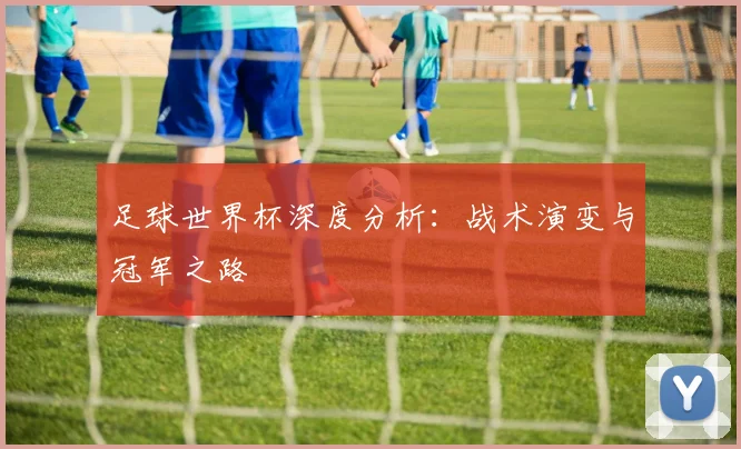 足球世界杯深度分析：战术演变与冠军之路