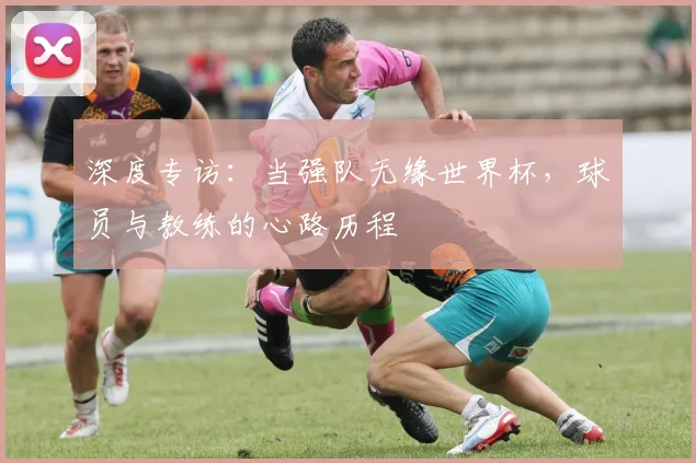 深度专访:当强队无缘世界杯,球员与教练的心路历程