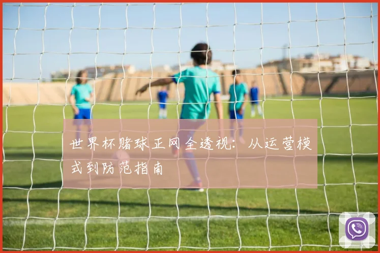 世界杯赌球正网全透视：从运营模式到防范指南