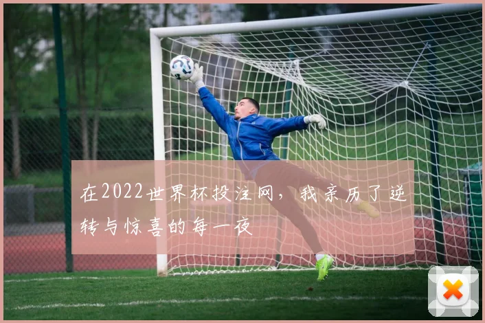 在2022世界杯投注网，我亲历了逆转与惊喜的每一夜